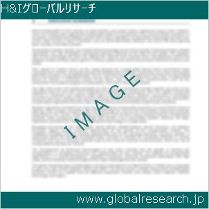 グローバルリサーチ調査レポートのイメージ